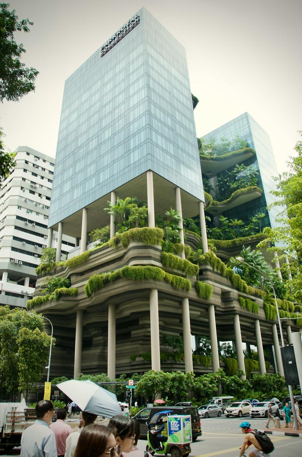 Green Roof Home